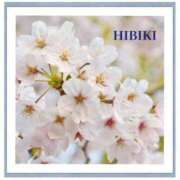 ヒメ日記 2025/04/03 09:22 投稿 ひびき 逢って30秒で即尺