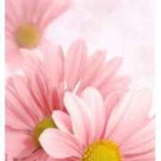 ヒメ日記 2025/06/14 09:17 投稿 ひびき 逢って30秒で即尺