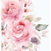 ヒメ日記 2025/08/04 09:14 投稿 ひびき 逢って30秒で即尺