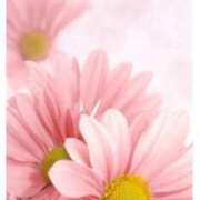 ヒメ日記 2025/10/13 09:17 投稿 ひびき 逢って30秒で即尺