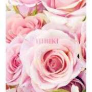 ヒメ日記 2025/11/11 16:18 投稿 ひびき 逢って30秒で即尺