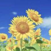 ひびき ひびきです。 逢って30秒で即尺