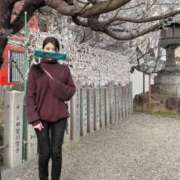 ヒメ日記 2025/03/26 07:35 投稿 ゆり子 翡翠の夢