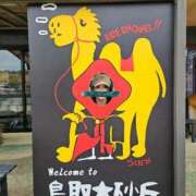 ヒメ日記 2025/10/03 17:05 投稿 ゆり子 翡翠の夢