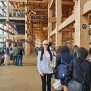 ヒメ日記 2025/10/06 13:25 投稿 ゆり子 翡翠の夢