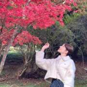 ヒメ日記 2025/11/21 05:45 投稿 ゆり子 翡翠の夢