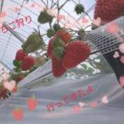 ヒメ日記 2025/03/15 15:49 投稿 えみ 水戸人妻花壇