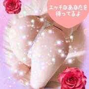 ヒメ日記 2025/04/21 10:11 投稿 えみ 水戸人妻花壇