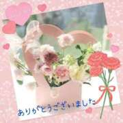 ヒメ日記 2026/07/24 02:27 投稿 えみ 水戸人妻花壇