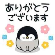 ヒメ日記 2023/12/19 05:34 投稿 まこ ギン妻パラダイス 堺東店