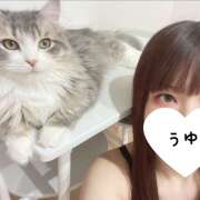 ヒメ日記 2023/11/12 18:29 投稿 うゆ★S級絶品Fカップ美少女 BEPPIN SELECTION ～べっぴんセレクション～