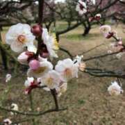 ヒメ日記 2024/03/11 10:56 投稿 奥空透子 五十路マダム 愛されたい熟女たち 高松店