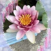 ヒメ日記 2025/05/29 16:20 投稿 奥空透子 五十路マダム 愛されたい熟女たち 高松店