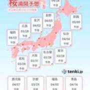 奥空透子 待機中 五十路マダム 愛されたい熟女たち 高松店