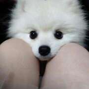 ヒメ日記 2025/02/09 17:02 投稿 める G-SPOT 土浦店