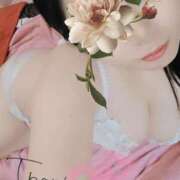 ヒメ日記 2025/03/09 22:48 投稿 るか 静岡駅前ちゃんこ