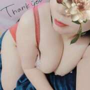 ヒメ日記 2025/03/22 02:28 投稿 るか 静岡駅前ちゃんこ