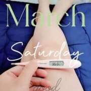 ヒメ日記 2025/03/29 06:38 投稿 るか 静岡駅前ちゃんこ