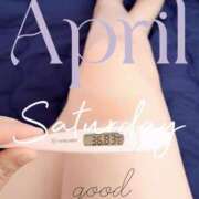 ヒメ日記 2025/04/05 06:38 投稿 るか 静岡駅前ちゃんこ