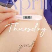 ヒメ日記 2025/04/10 06:38 投稿 るか 静岡駅前ちゃんこ