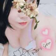 ヒメ日記 2025/04/12 20:24 投稿 るか 静岡駅前ちゃんこ