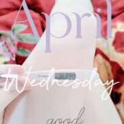 ヒメ日記 2025/04/23 06:38 投稿 るか 静岡駅前ちゃんこ