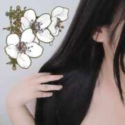 ヒメ日記 2025/04/26 02:28 投稿 るか 静岡駅前ちゃんこ