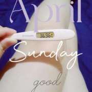 ヒメ日記 2025/04/27 06:48 投稿 るか 静岡駅前ちゃんこ