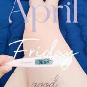 ヒメ日記 2025/05/02 06:48 投稿 るか 静岡駅前ちゃんこ