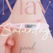 ヒメ日記 2025/05/03 06:48 投稿 るか 静岡駅前ちゃんこ