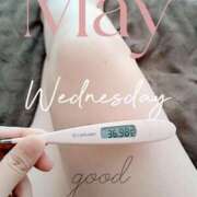 ヒメ日記 2025/05/07 06:38 投稿 るか 静岡駅前ちゃんこ