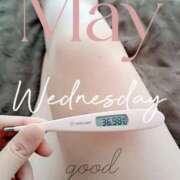 ヒメ日記 2025/05/21 06:38 投稿 るか 静岡駅前ちゃんこ