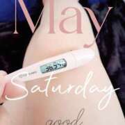 ヒメ日記 2025/05/24 06:38 投稿 るか 静岡駅前ちゃんこ