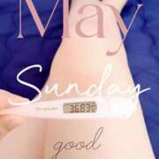 ヒメ日記 2025/05/25 06:38 投稿 るか 静岡駅前ちゃんこ