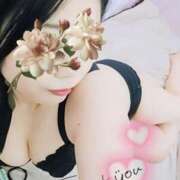 ヒメ日記 2025/05/31 20:28 投稿 るか 静岡駅前ちゃんこ