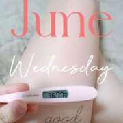 ヒメ日記 2025/06/11 06:48 投稿 るか 静岡駅前ちゃんこ