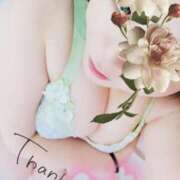 ヒメ日記 2025/06/13 01:18 投稿 るか 静岡駅前ちゃんこ