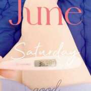 ヒメ日記 2025/06/14 06:48 投稿 るか 静岡駅前ちゃんこ