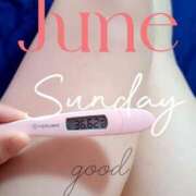 ヒメ日記 2025/06/15 06:38 投稿 るか 静岡駅前ちゃんこ