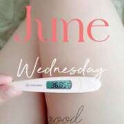 ヒメ日記 2025/06/25 07:03 投稿 るか 静岡駅前ちゃんこ