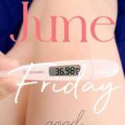 ヒメ日記 2025/06/27 06:48 投稿 るか 静岡駅前ちゃんこ