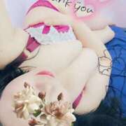 ヒメ日記 2025/06/29 03:00 投稿 るか 静岡駅前ちゃんこ