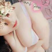 ヒメ日記 2025/07/04 03:08 投稿 るか 静岡駅前ちゃんこ