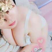 ヒメ日記 2025/07/13 23:24 投稿 るか 静岡駅前ちゃんこ