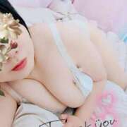 ヒメ日記 2025/07/24 14:38 投稿 るか 静岡駅前ちゃんこ