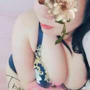 ヒメ日記 2025/07/26 21:48 投稿 るか 静岡駅前ちゃんこ