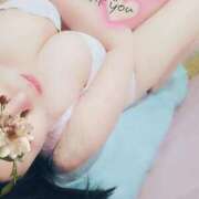 ヒメ日記 2025/07/31 23:00 投稿 るか 静岡駅前ちゃんこ