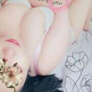 ヒメ日記 2025/09/12 00:08 投稿 るか 静岡駅前ちゃんこ