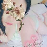 ヒメ日記 2025/09/12 00:48 投稿 るか 静岡駅前ちゃんこ