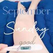 ヒメ日記 2025/09/28 06:48 投稿 るか 静岡駅前ちゃんこ